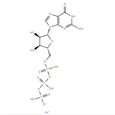 CAS:24905-71-3|Guanosin 5′-(Tetrahydrogentriphosphat) Natriumsalz