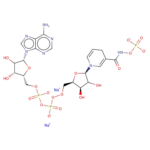CAS:606-68-8|Beta-Nicotinamid-Adenin-Dinukleotid, Dinatriumsalz