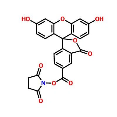 CAS:92557-80-7|5-FAM N-Succinimidylester