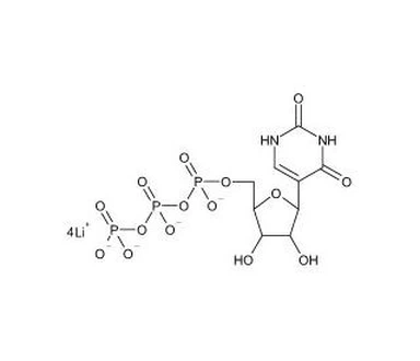 CAS:1175-34-4|Wässrige Pseudouridin-5'-Triphosphat-Lösung