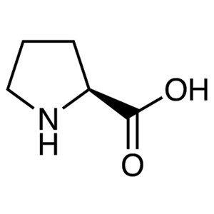 CAS:147-85-3|L-Prolin