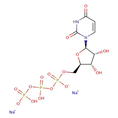 CAS:19817-92-6|Uridin-5'-triphosphat Trinatriumsalz