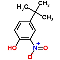 CAS:3279-07-0|4-tert-Butyl-2-nitrophenol