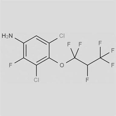 CAS-121451-05-6|3,5-Dichlor-2-fluor-4-(1,1,2,3,3,3-hexafluorpropoxy)anilin