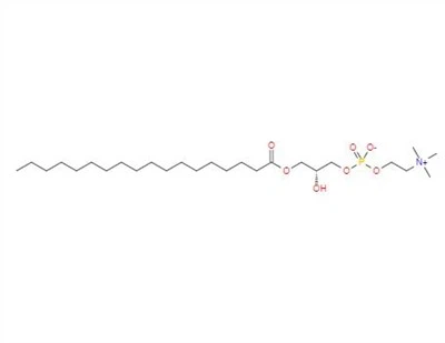 CAS:19420-57-6丨1-Stearoyl-sn-glycero-3-Phosphocholin